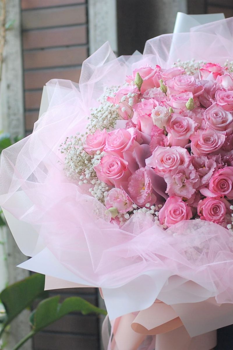 進口大玫瑰Columbia Rose